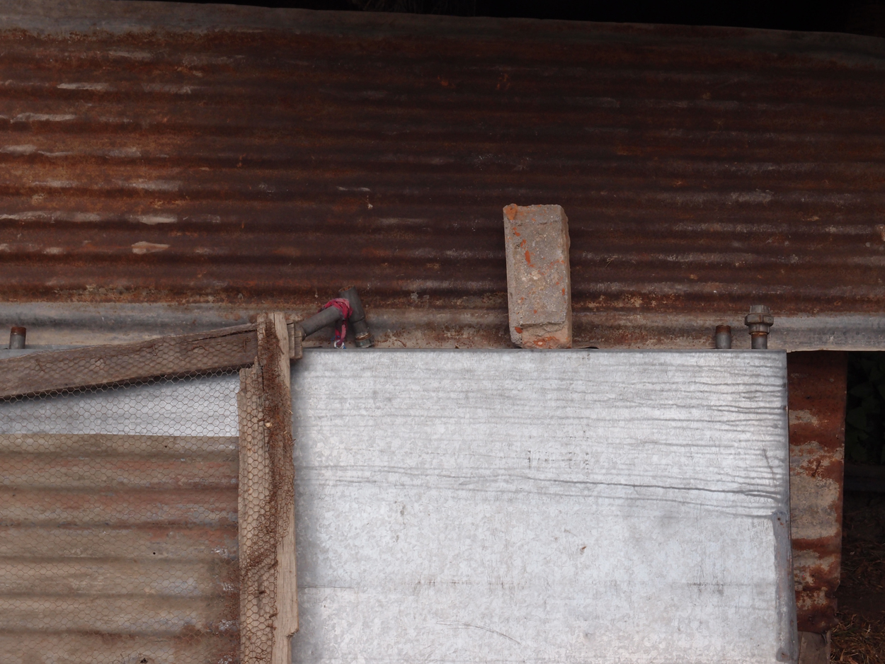 2018-01-16 12 Uhr - Im Shivapuri Nagarjun National Park (Nagi Gumba) (Foto) 